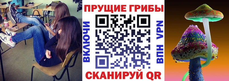 Псилоцибиновые грибы MAGIC MUSHROOMS MEGA зеркало Липки