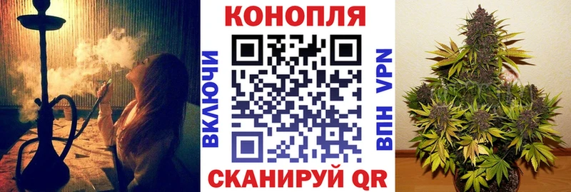 Каннабис OG Kush  закладки  Липки 